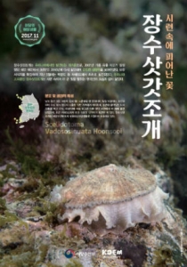 우리나라 고유종 ‘장수삿갓조개’ 11월의 해양생물 선정