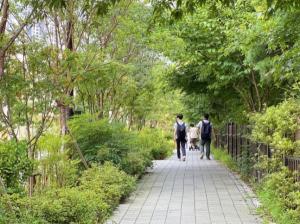 서울시, 도심 68곳에 나무 40만주 심어 '가로숲길' 조성